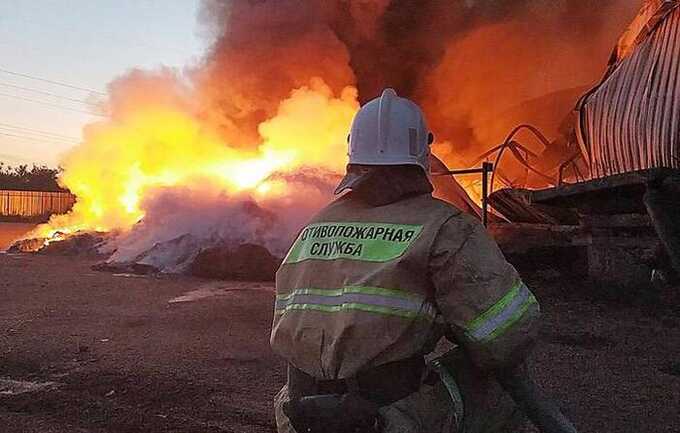 В правительстве Курской области отказались помочь пострадавшим местным жителям — потому что «выборы на носу»